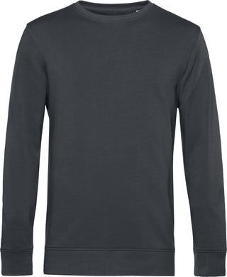 Kaufen asphalt Herren Sweater in Bio-Baumwolle | Organic Crew Neck | Neutrale Farben