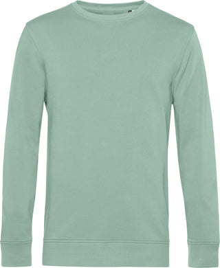 Kaufen sage Herren Sweater in Bio-Baumwolle | Organic Crew Neck | Farben