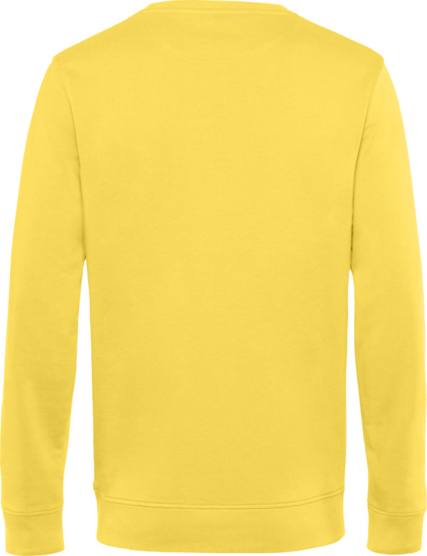 Herren Sweater in Bio-Baumwolle | Organic Crew Neck | Farben